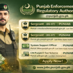 PERA Force Jobs 2026