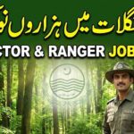 Mehkma Janglat Jobs