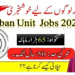 Punjab Urban Unit Jobs 2026 Online apply